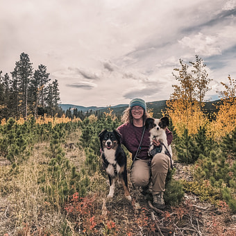 83f8a8b2-1ffd-4e5a-8553-d5cb7227f9b7